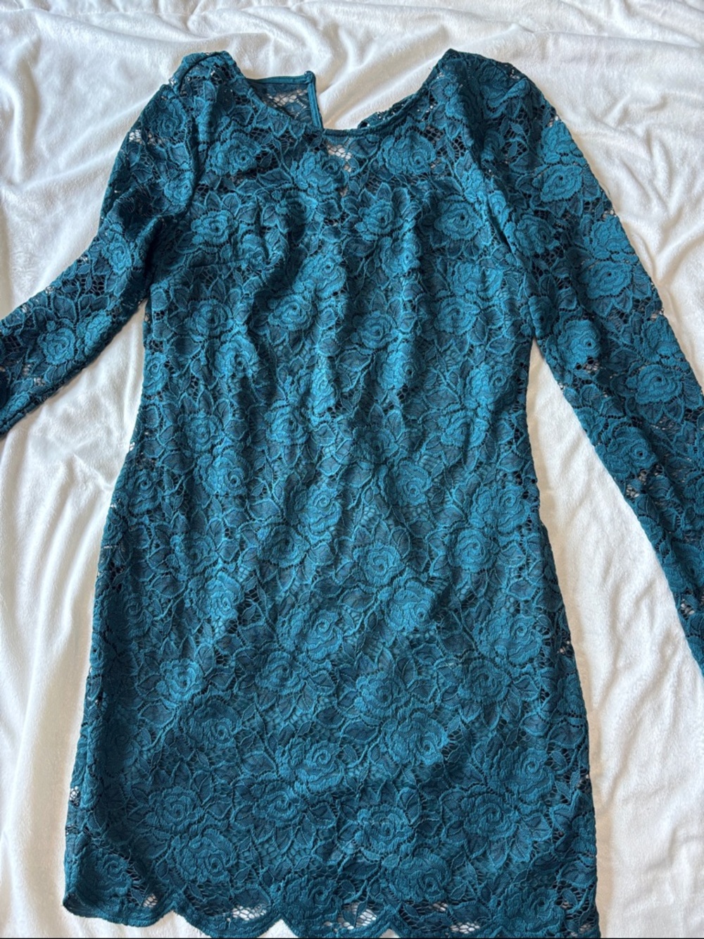 by & by Hunter green  Lace Long-Sleeve Shift Dress